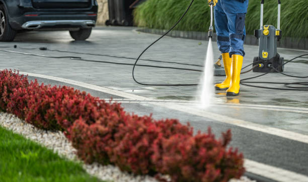 Best Gutter Cleaning  in Canutillo, TX